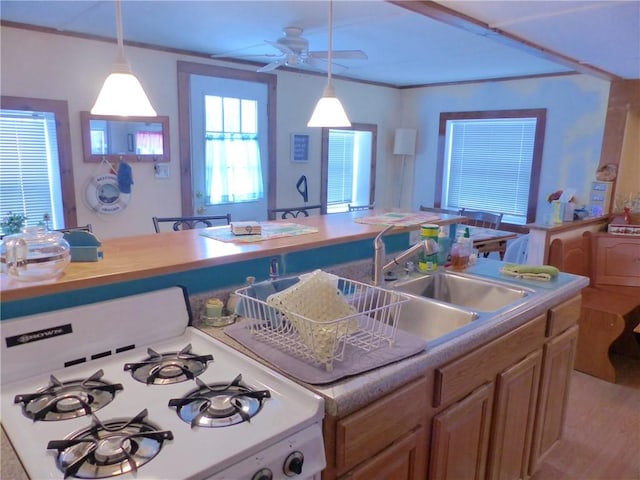 kitchen with crown molding, decorative light fixtures, white gas range, ceiling fan, and light hardwood / wood-style floors