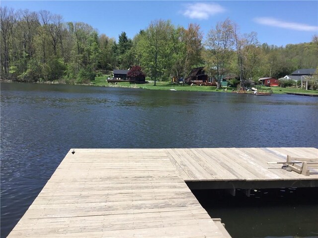 3049 Huggins Rd, Orange, NY 14815 - dock with a water view