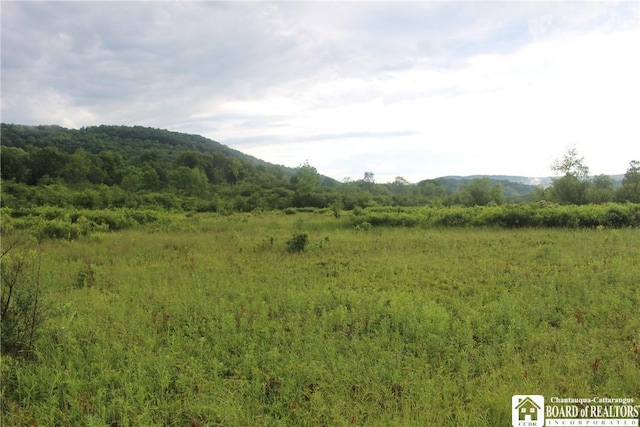 1514 Portville Obi Rd, Genesee NY, 14770 land for sale