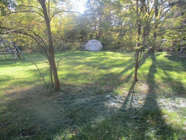 view of yard with a storage unit