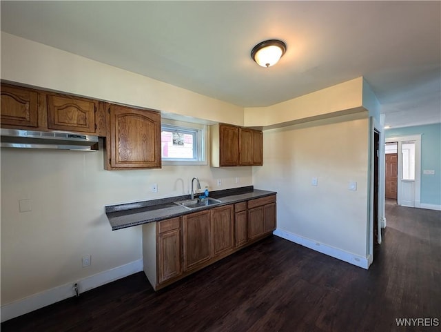 kitchen featuring sink and dark hardwood / wood-style flooring