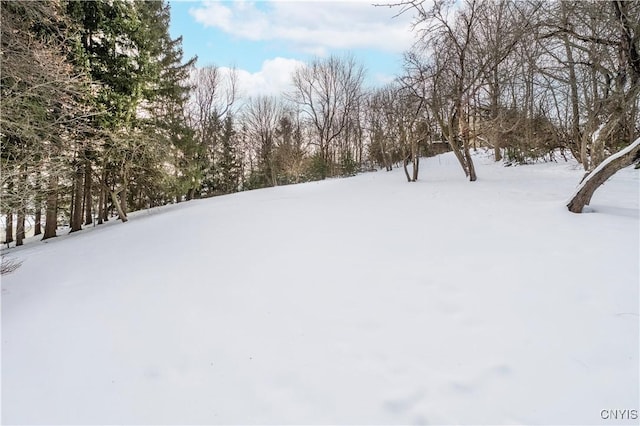 view of snowy yard