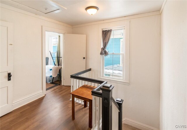 419 Gotham St, Watertown City, NY 13601 - photo 23