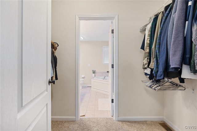 walk in closet with light carpet