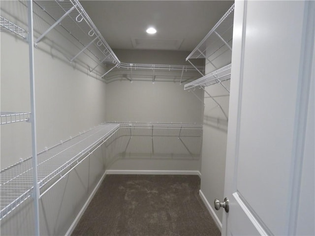 walk in closet featuring dark colored carpet