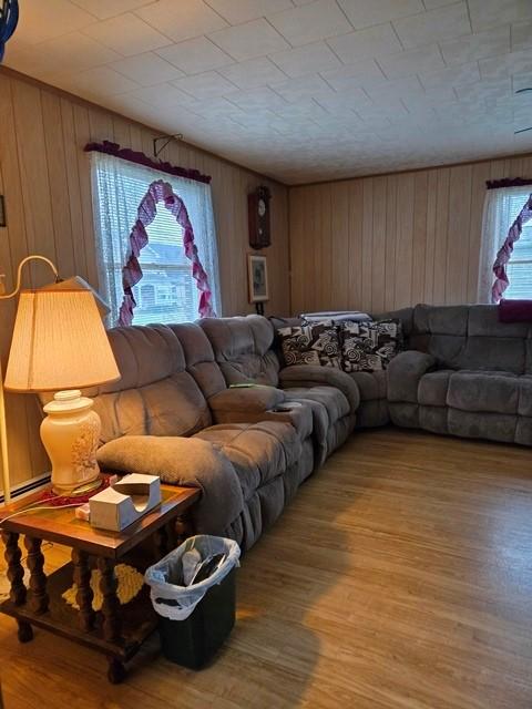 living room featuring wood walls and wood-type flooring