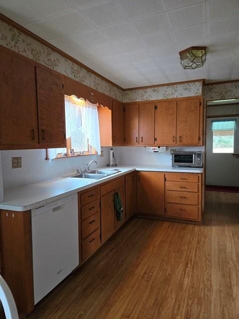 kitchen featuring hardwood / wood-style floors, white dishwasher, ornamental molding, and sink