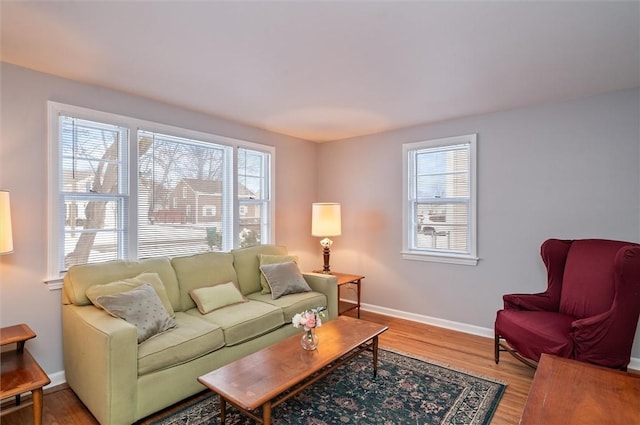 living room featuring hardwood / wood-style flooring