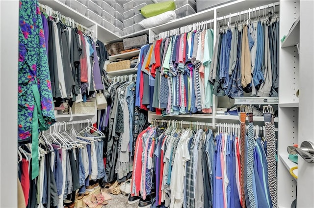 view of walk in closet