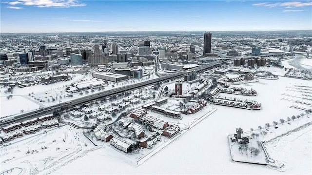 view of snowy aerial view