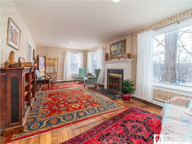 living room with hardwood / wood-style floors