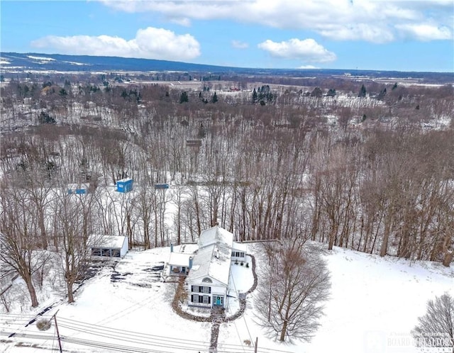 snowy aerial view featuring a mountain view