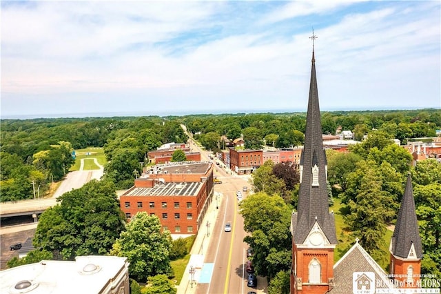 bird's eye view