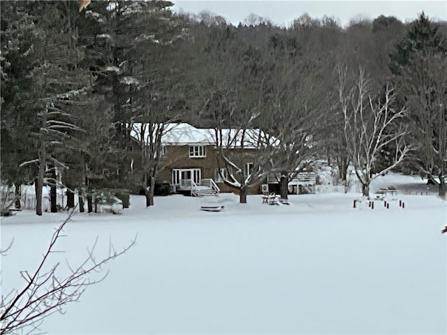 view of yard layered in snow