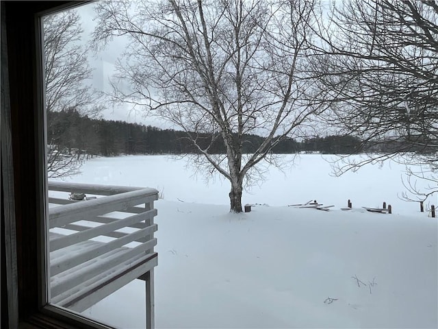 view of yard layered in snow