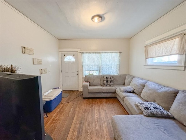 living room featuring hardwood / wood-style floors and ornamental molding