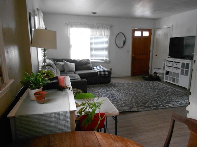 living room with wood-type flooring