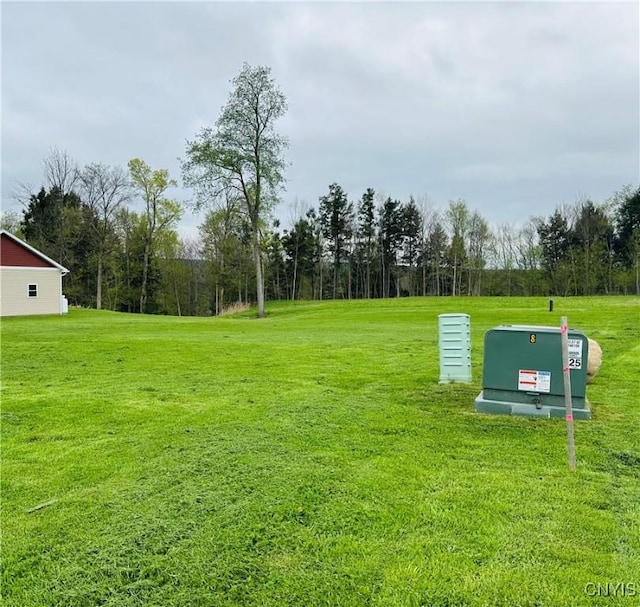 6884 Cemetery Rd, Greig, NY 13368 - photo 41