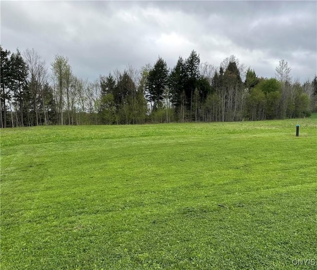 6884 Cemetery Rd, Greig, NY 13368 - photo 42