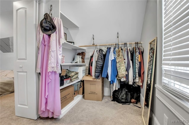 spacious closet with light carpet