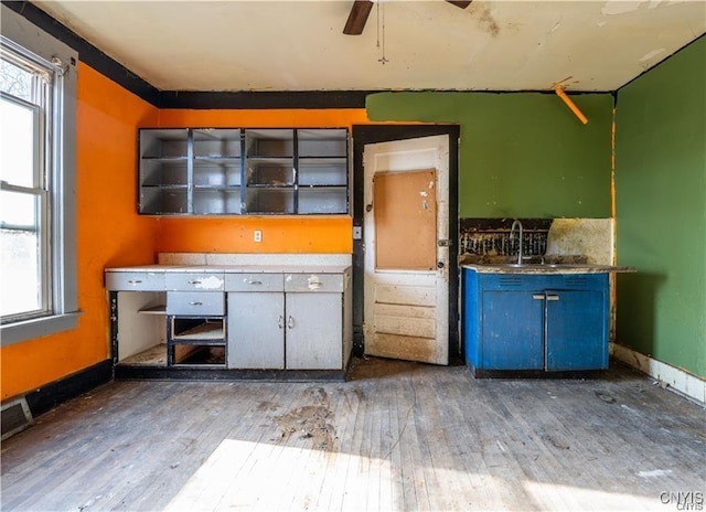 kitchen featuring hardwood / wood-style flooring, ceiling fan, and sink