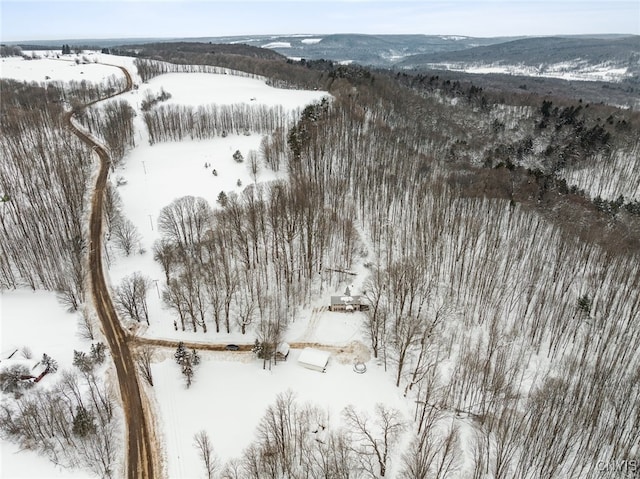 view of snowy aerial view