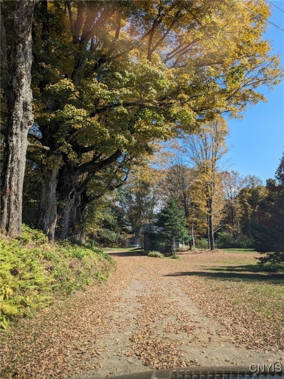 view of street