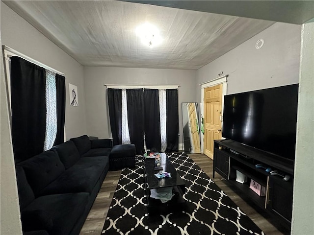 living room with dark hardwood / wood-style flooring