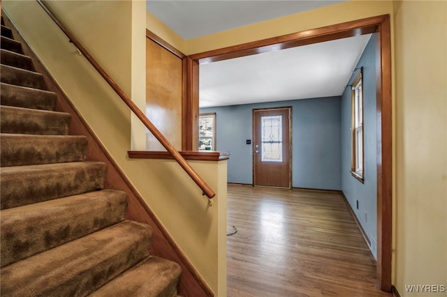 foyer with hardwood / wood-style floors