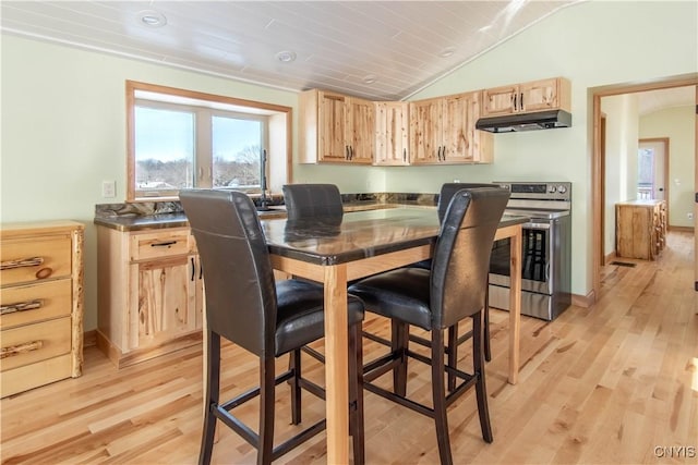 38908/912 Bartlett Point Rd Unit 912, Clayton, NY 13624 - dining area with light wood-style flooring, vaulted ceiling, and baseboards