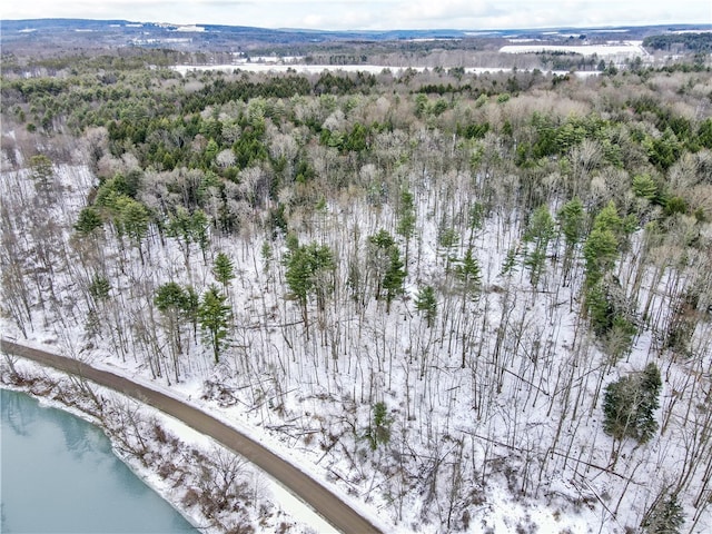 snowy aerial view featuring a water view