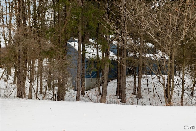 view of snowy landscape