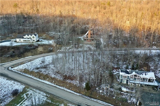 Listing photo 3 for 5738 Bonn E, Great Valley NY 14741