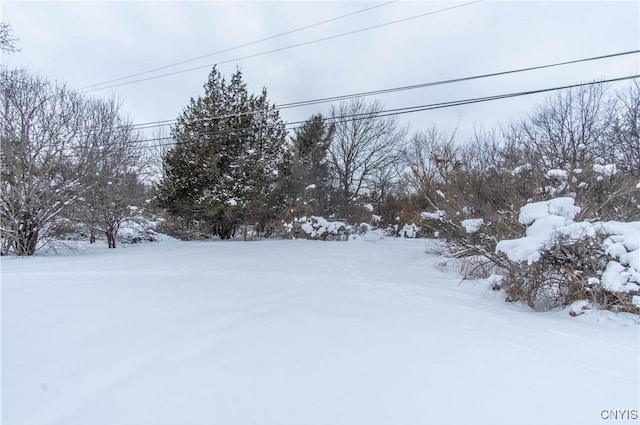 view of yard covered in snow