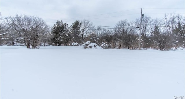 view of snowy yard