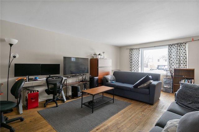 living room featuring light hardwood / wood-style floors