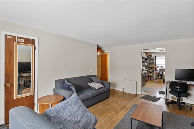 living room with light wood-type flooring