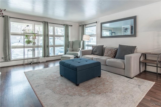 living room featuring dark hardwood / wood-style flooring, plenty of natural light, and ornamental molding