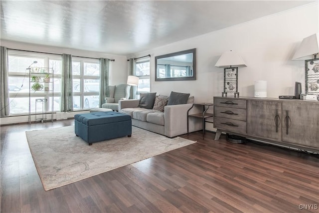 living room featuring crown molding and dark hardwood / wood-style flooring