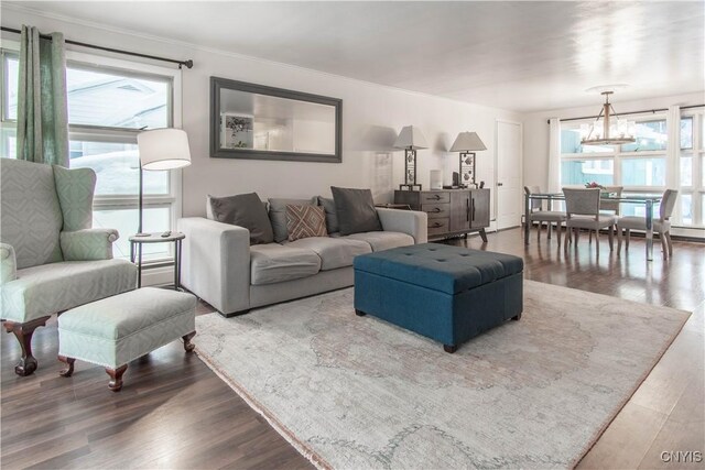 living room featuring a notable chandelier, hardwood / wood-style flooring, plenty of natural light, and ornamental molding