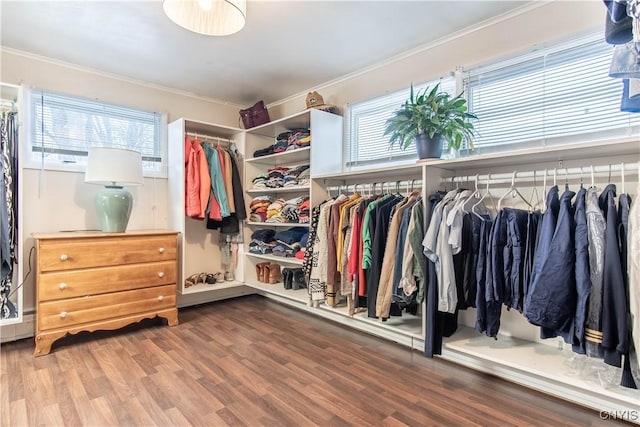 spacious closet featuring hardwood / wood-style flooring