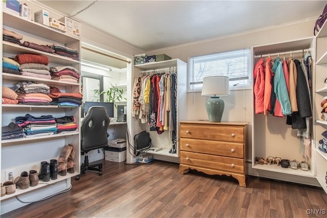 spacious closet with dark wood-type flooring