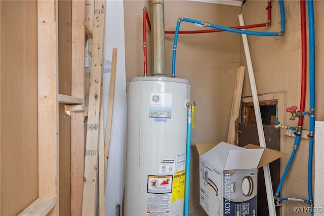 utility room with water heater