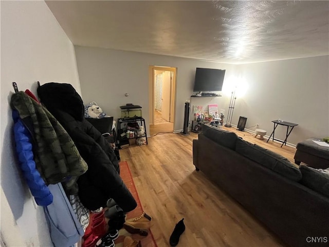 living room with hardwood / wood-style floors