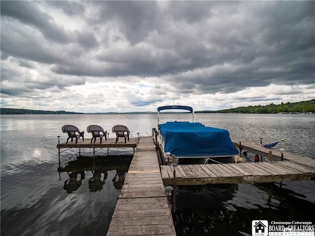 dock area featuring a water view