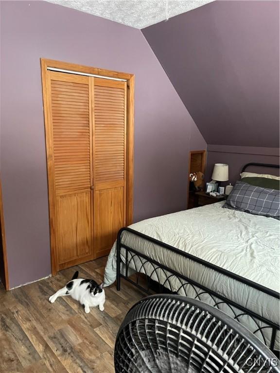 bedroom with lofted ceiling, hardwood / wood-style floors, and a closet