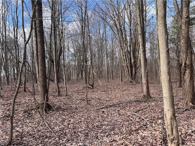 0 Ryther Rd, Evans, NY 14006 - photo 1