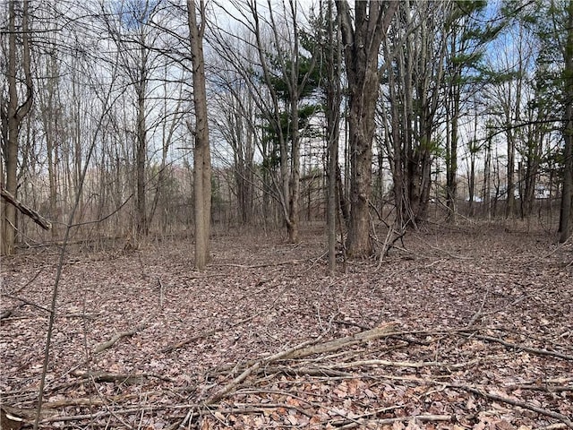 0 Ryther Rd, Evans, NY 14006 - photo 2