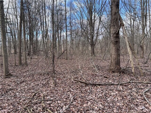 0 Ryther Rd, Evans, NY 14006 - photo 3