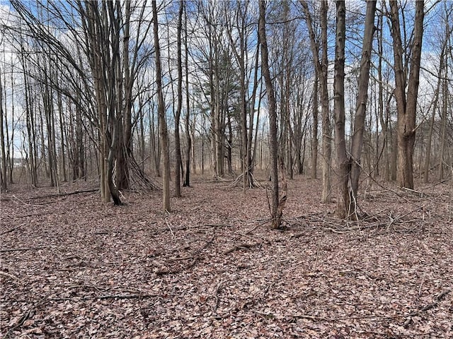 0 Ryther Rd, Evans, NY 14006 - photo 4